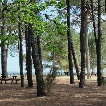 La Maison Des Rives De Saint Brice *