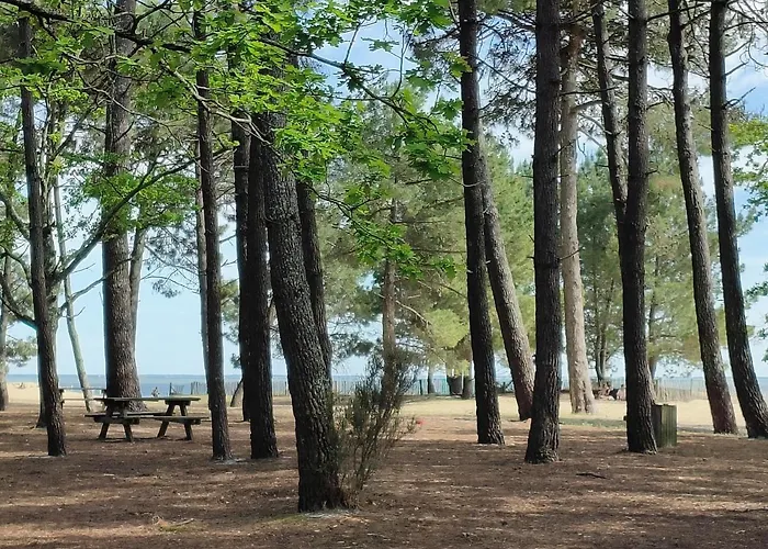 La Maison Des Rives De Saint Brice *